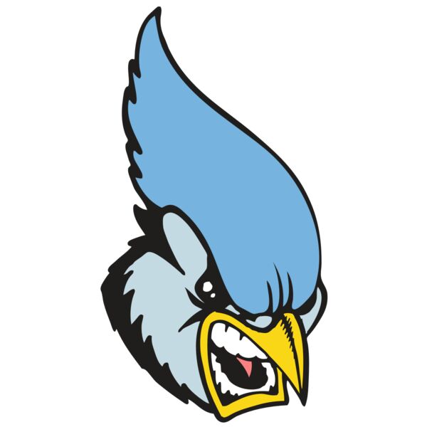 BAW BLUEJAY 05 RC Thumbnail