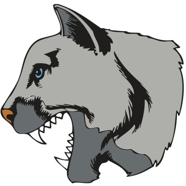 BAW COUG PANTH 15 R Thumbnail