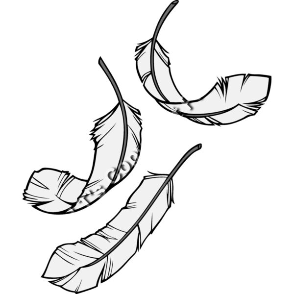 ESfeathers001clr Thumbnail