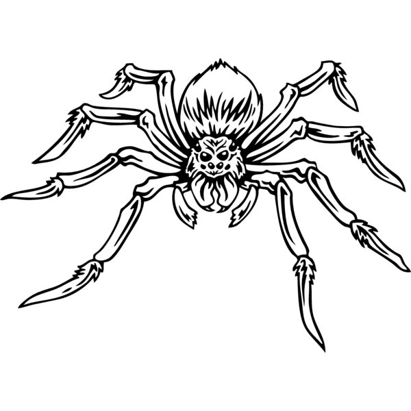 ESspider004bw Thumbnail