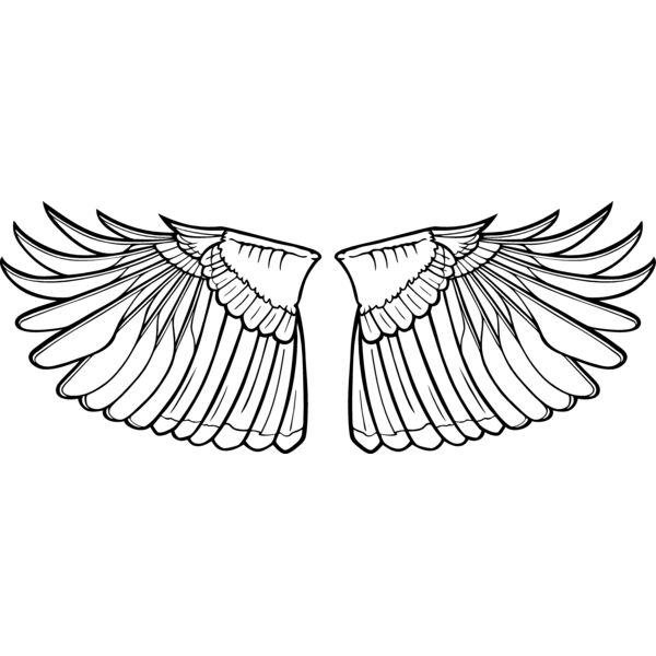 ESwings019bw Thumbnail