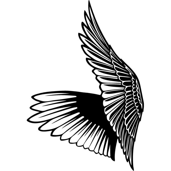 ESwings028bw Thumbnail