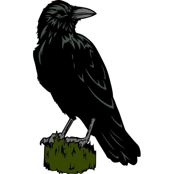 ES2raven003clr Thumbnail