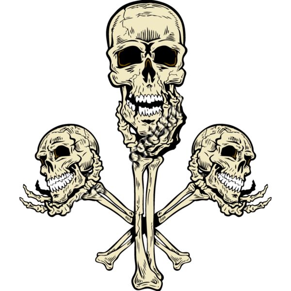 ES2bones002clr Thumbnail