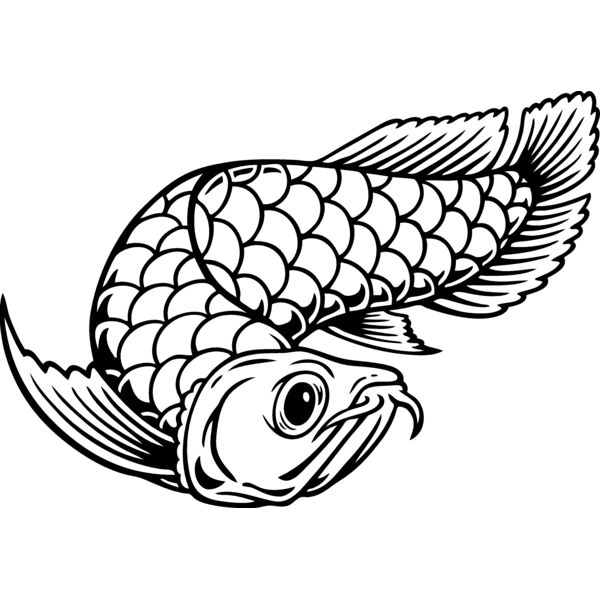 ES2arowana001BW Thumbnail