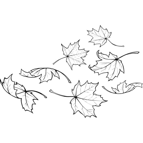 ES2leaves001bw Thumbnail