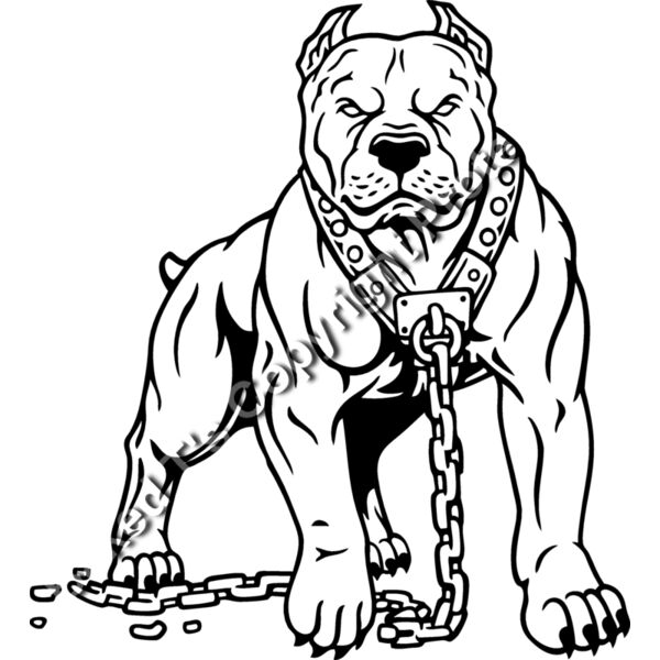 ES2pitbull002BW Thumbnail