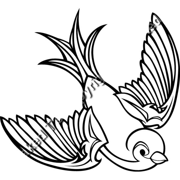 ES2swallow001bw Thumbnail