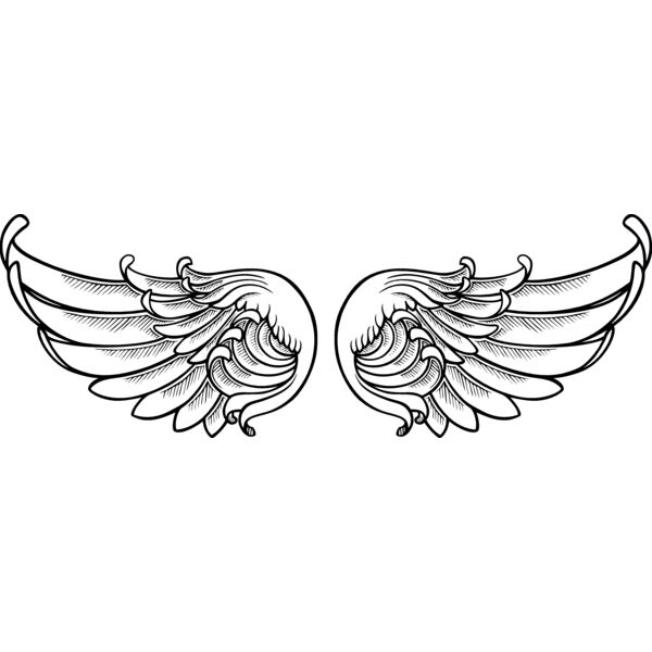 ES2wings007bw Thumbnail