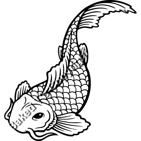 ES2asiankoi001BW Thumbnail