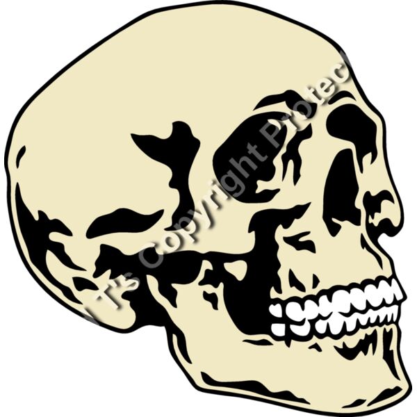 ES2skull016CLR Thumbnail