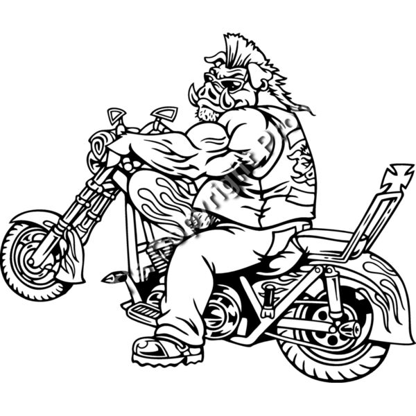 ES2hog004BW Thumbnail