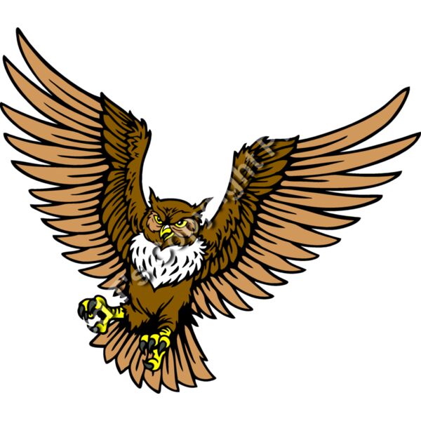 ES2owl001CLR Thumbnail