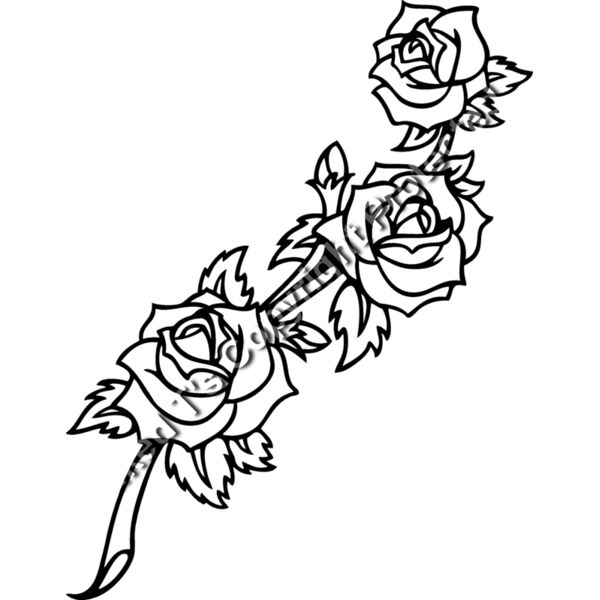 ES2rose004BW Thumbnail