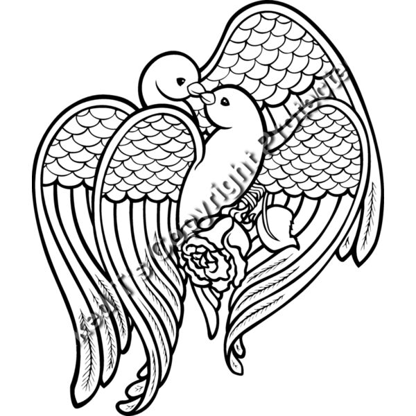 ES2dove001bw Thumbnail