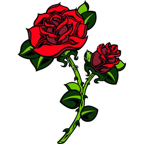 ES2rose003CLR Thumbnail