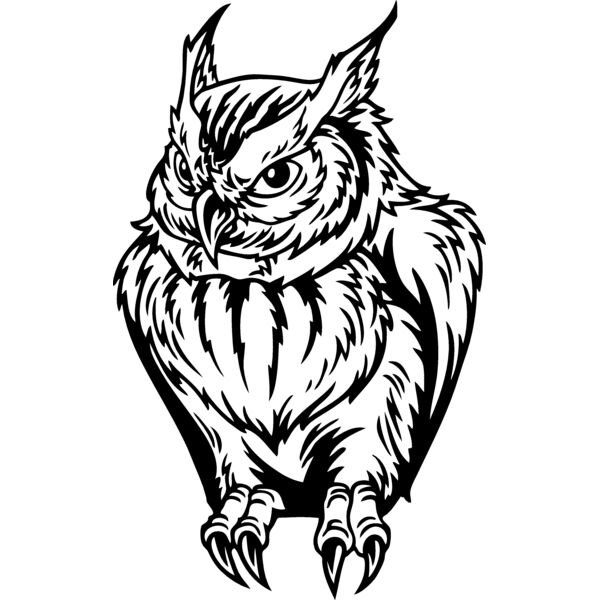 ES2owl003BW Thumbnail