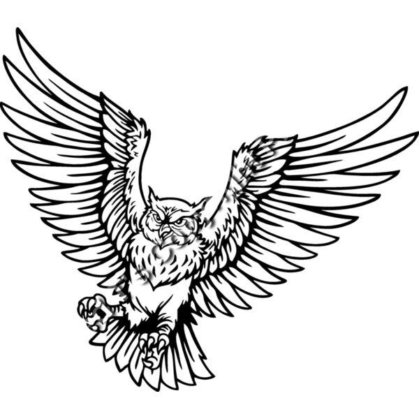 ES2owl001BW Thumbnail