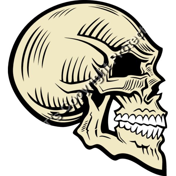 ES2skull025clr Thumbnail