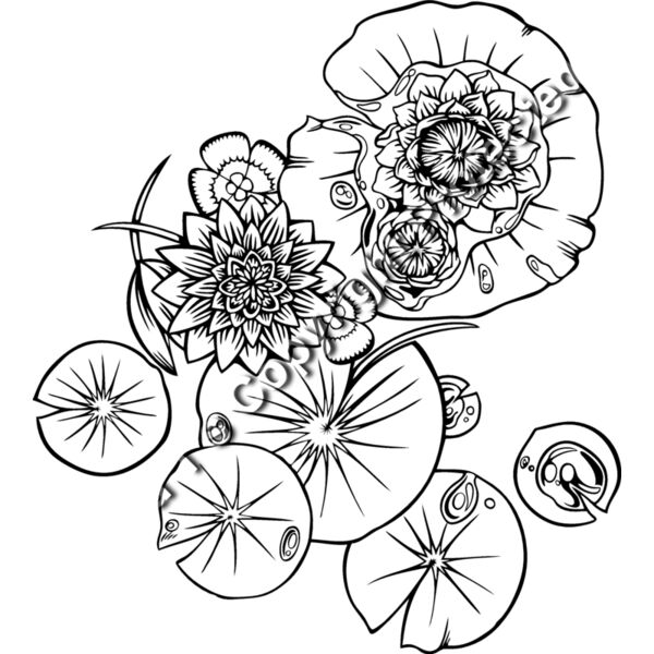 ES2flower004bw Thumbnail