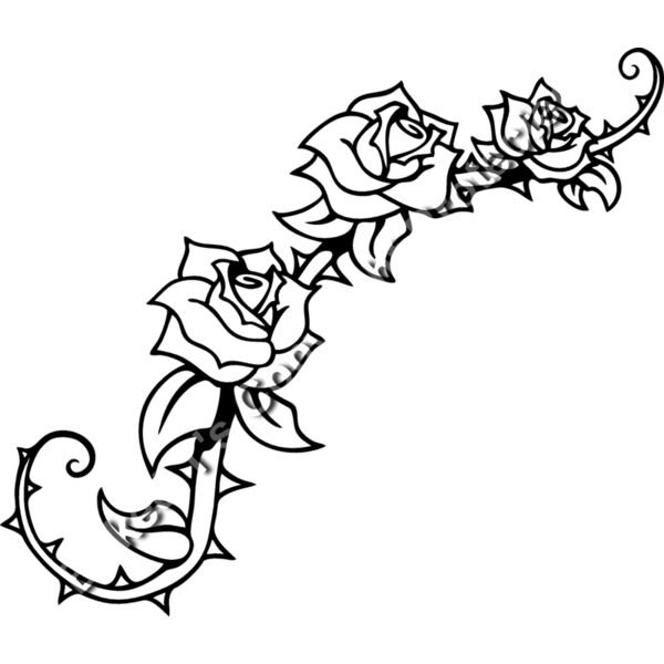 ES2rose005BW Thumbnail