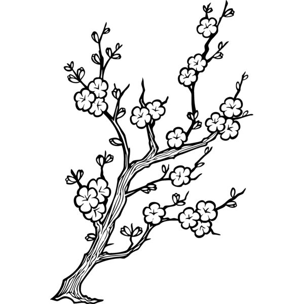 ES2cherryblsm001bw Thumbnail