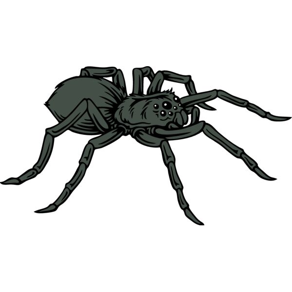 ES2spider001CLR Thumbnail
