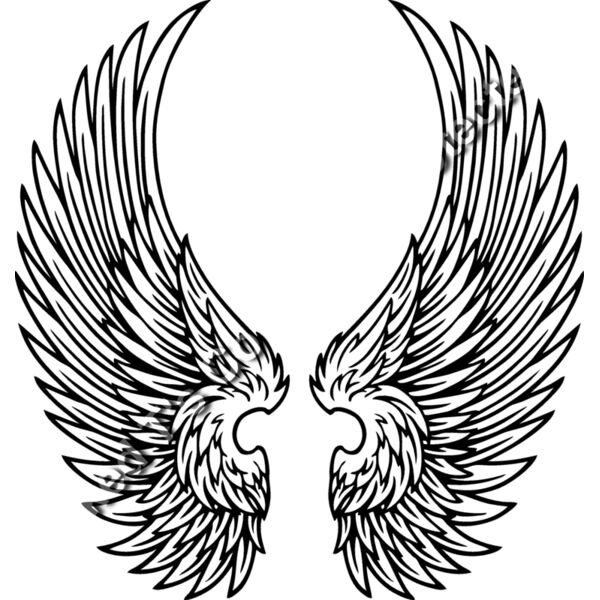 ES2wings030BW Thumbnail