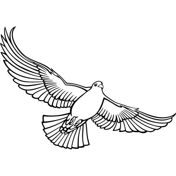 ES3dove01bw Thumbnail