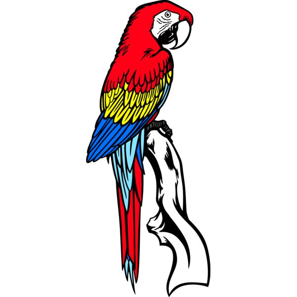 ES3parrot02clr Thumbnail