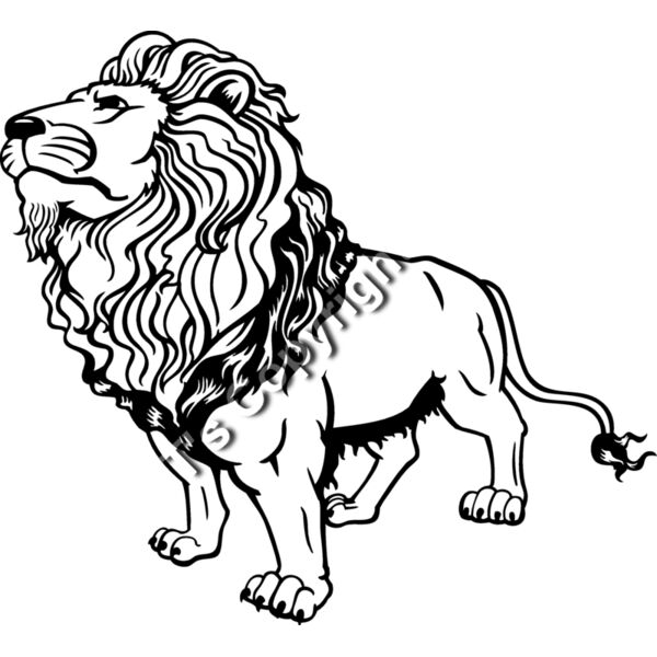 ES3lion06bw Thumbnail