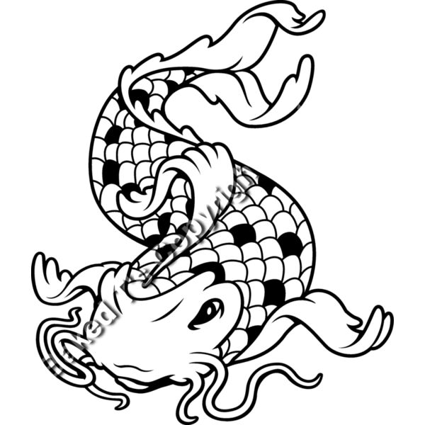 es3asiankoi09bw Thumbnail