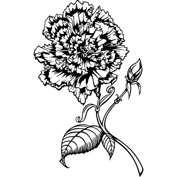 ES3flower01bw Thumbnail