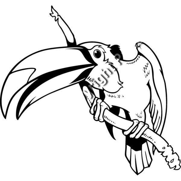 ES3toucan01bw Thumbnail