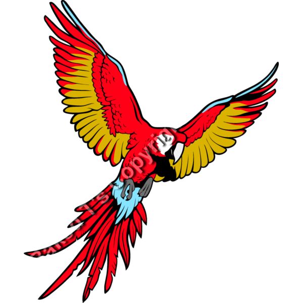 ES3parrot01clr Thumbnail