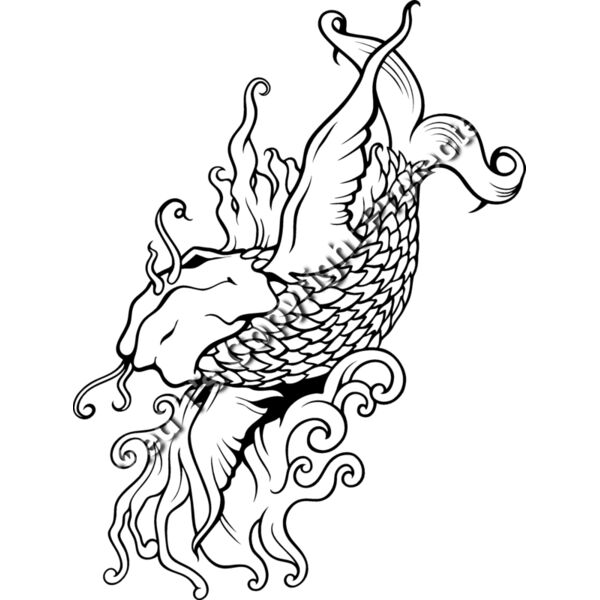 ES3asiankoi08bw Thumbnail