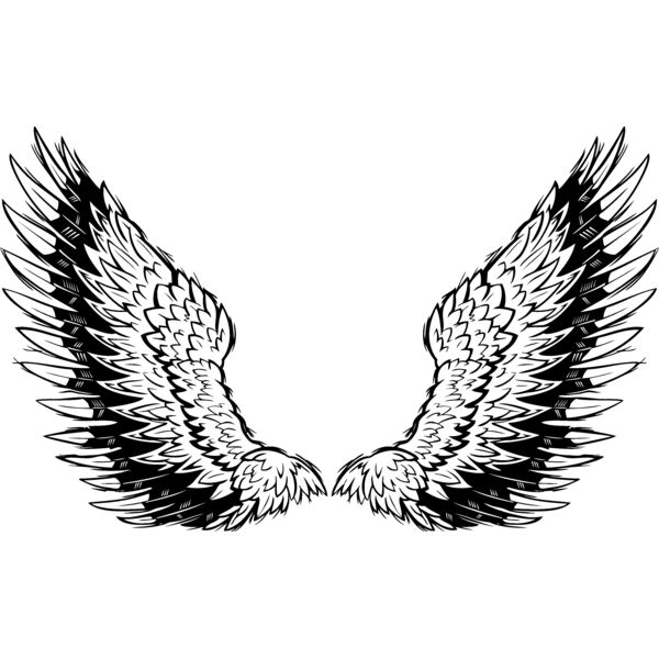 ES3wing10BW Thumbnail