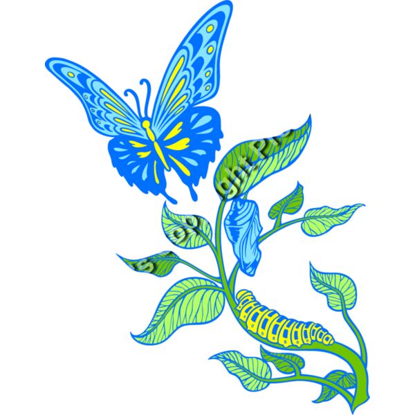 ES3butterfly05clr Thumbnail