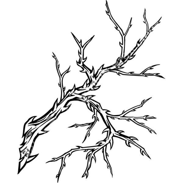 ES3thorns01bw Thumbnail