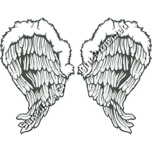 ES3wing26clr Thumbnail