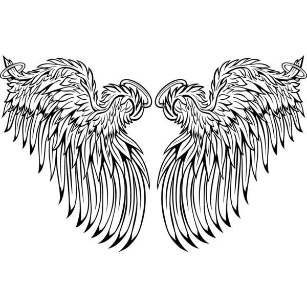 ES3wing25BW Thumbnail