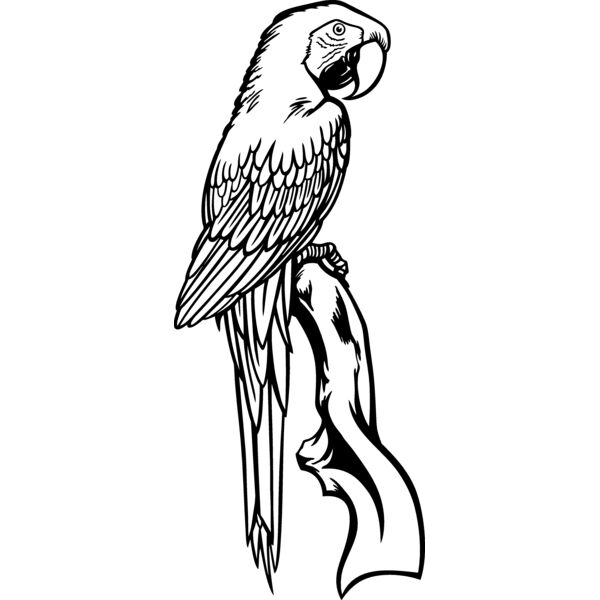 ES3parrot02bw Thumbnail