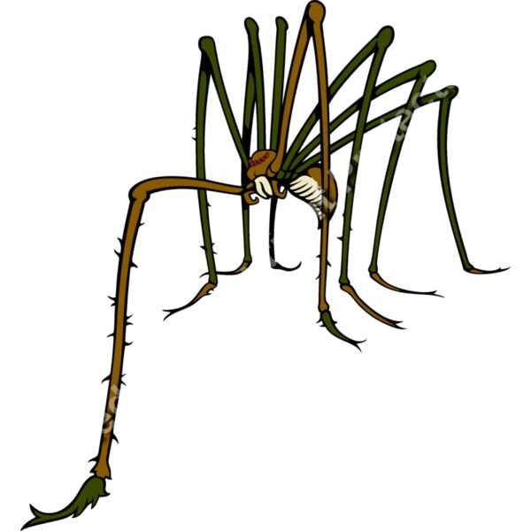 ES3spider02clr Thumbnail