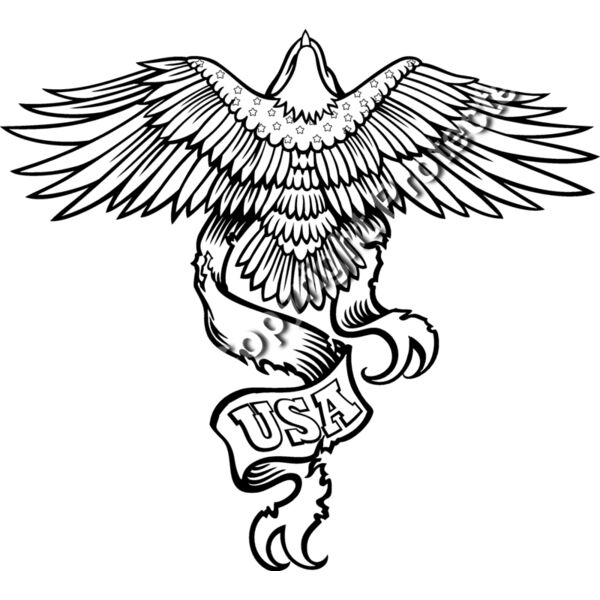 ES3patriotic07bw Thumbnail