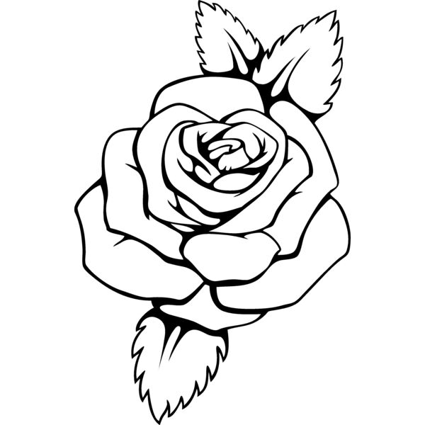 es3flower08bw Thumbnail