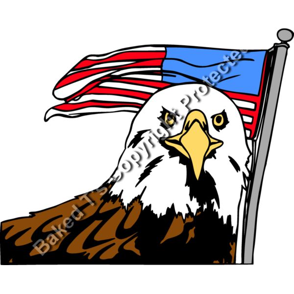 EagleAndFlag1 Thumbnail
